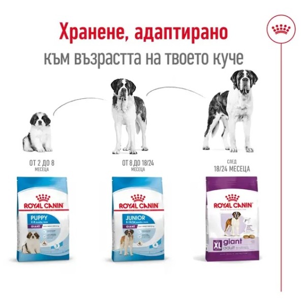 Royal Canin Adult Dog Giant 15kg - Пълноценна суха храна за кучета от гигантски породи 15 кг
